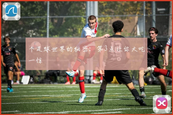 个足球世界的秘密：第3点让你大吃一惊